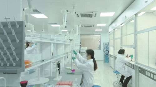 擴大檢測能力，深化企業服務 市食藥檢科院打造嵌入式服務金名片